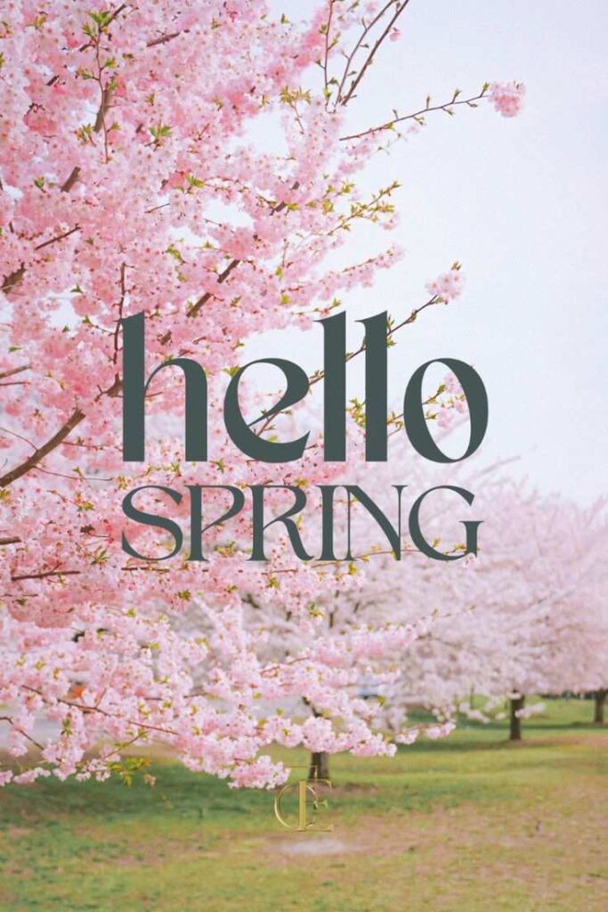 Hello Spring!