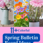 Spring Bulletin Board Ideas