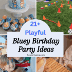 Bluey Birthday Party Ideas