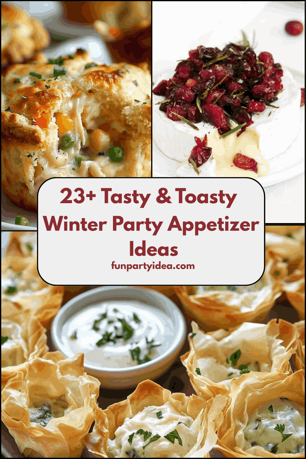 Winter Party Appetizer Ideas